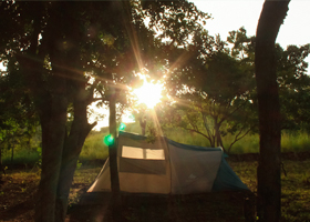 Camp Woody at Anayirangal
